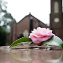 El duelo es un proceso duro que se debe pasar luego de la muerte de una persona cercana.