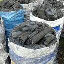 Corpoguajira precisó que el aprovechamiento forestal ilegal corresponde a la especie Guayacán (Bulnesia arbórea).