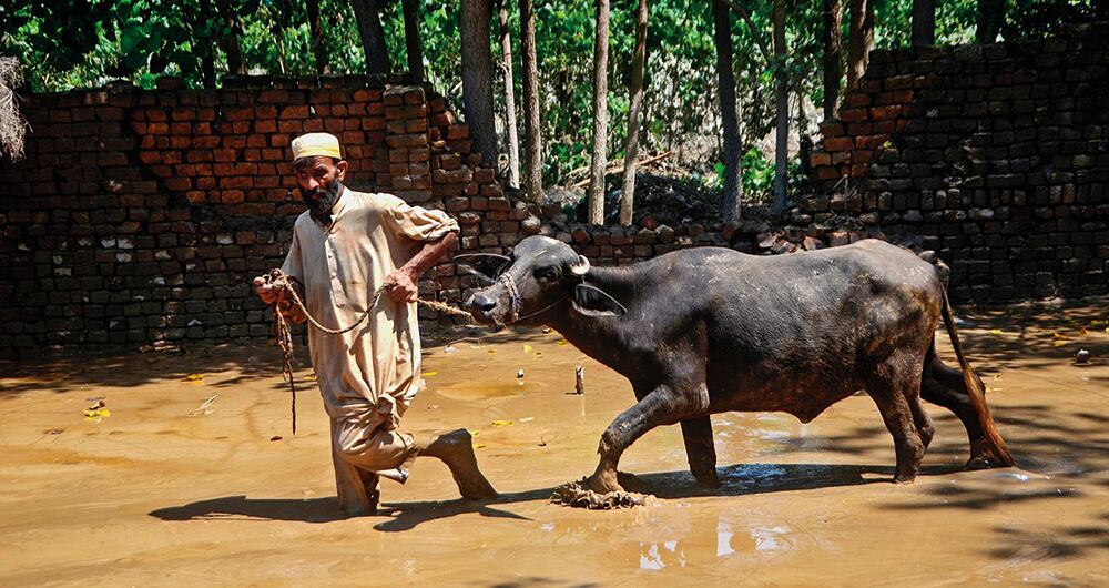 Inundaciones en Pakistán. 