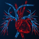 La alimentación es determinante para tener una buena cirulación.