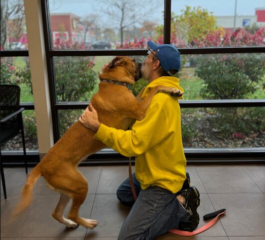Mike Nayler pudo reencontrarse con su perrita Minnie luego de casi dos años luchando contra un extraño cáncer.