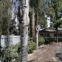 La mujer identificada como Ángela Flores habría presentado rasgos maniacos la noche anterior a que sus hijos fueran descubiertos muertos.