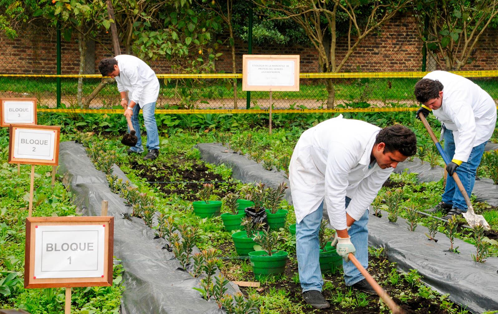 La apuesta de la U.D.C.A. es formar profesionales con compromiso ambiental y que vayan más allá, que comprendan la importancia de aportar a la construcción de sociedades sostenibles.