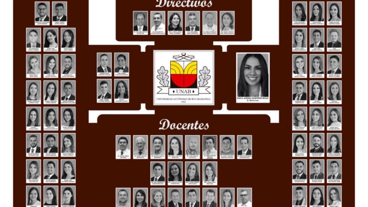 La foto de Paula Andrea Martínez fue incluida en el mosaico. Su imagen es la de mayor tamaño en la composición.