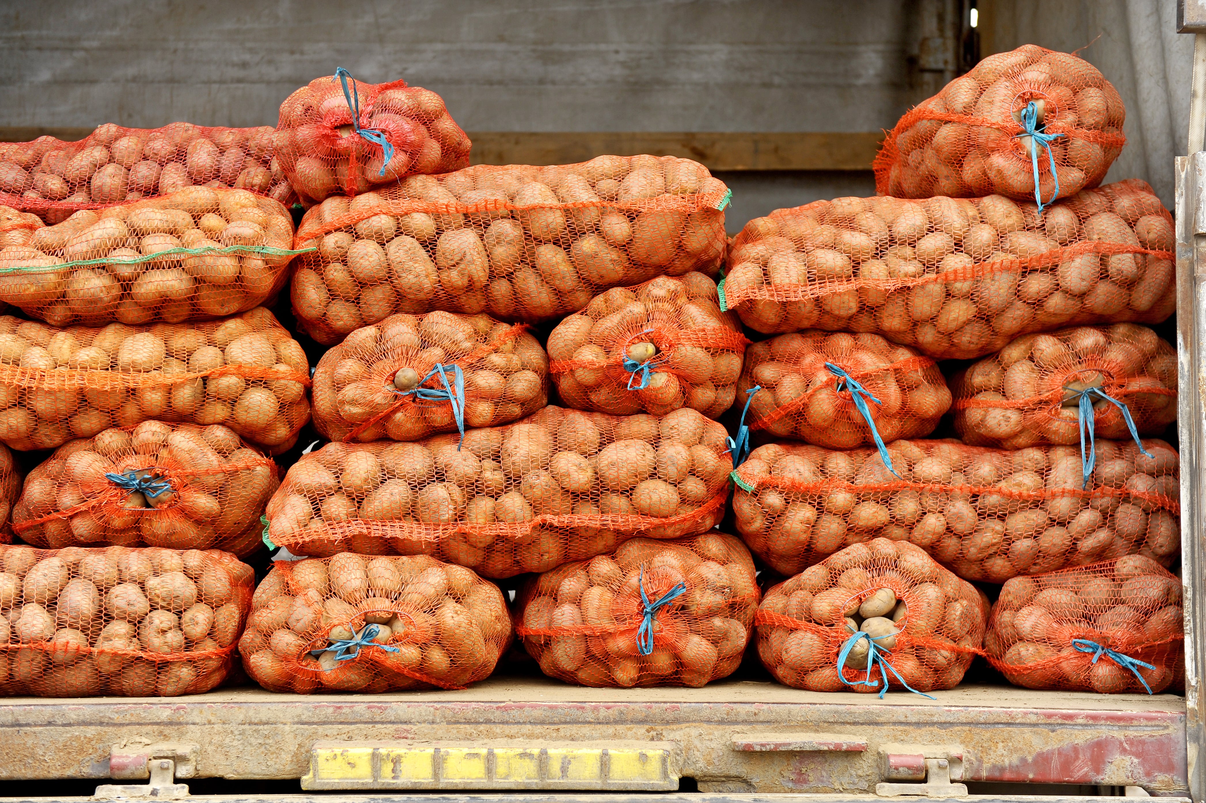 El vehículo que transportaba 164 bultos de papa, se encontraron un total de 800 kilos de marihuana.