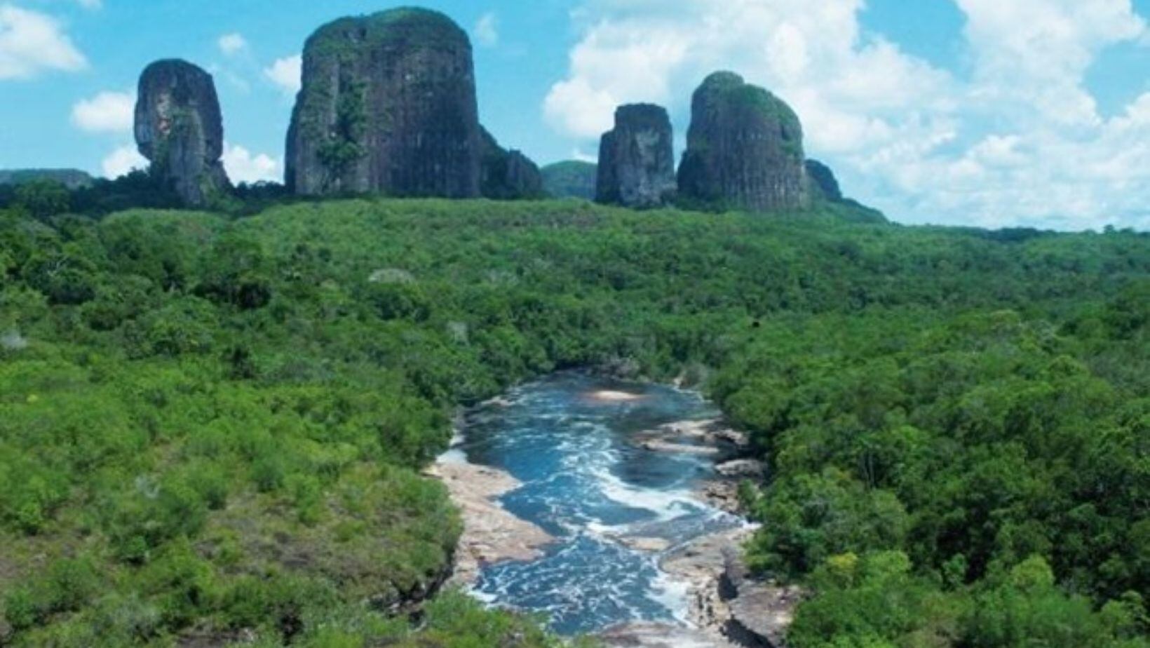 Chiribiquete fuente de diversidad de flora y fauna