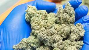 Las autoridades descubrieron a la mujer llevándole marihuana a su hijo.