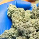 Las autoridades descubrieron a la mujer llevándole marihuana a su hijo.