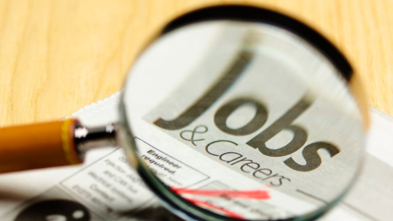 El sector de la agricultura requiere trabajadores para sus labores.