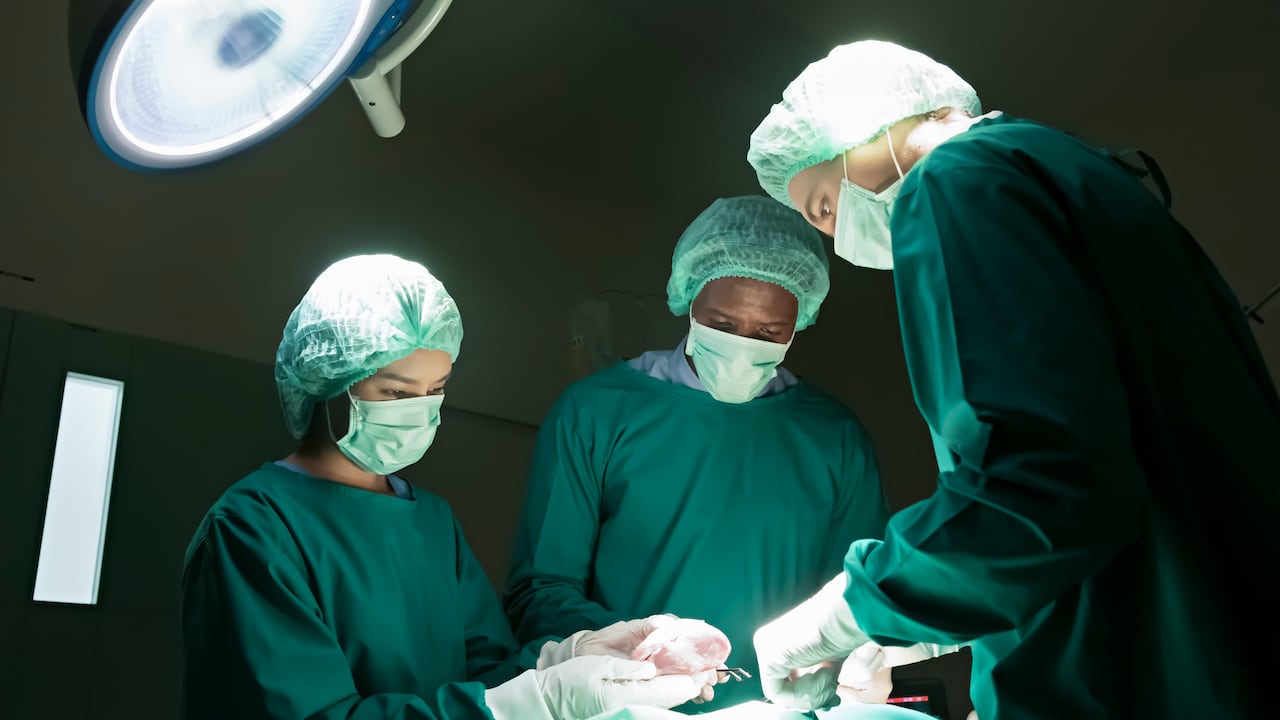 Esto fue lo que dijo la Acto al Gobierno Petro.