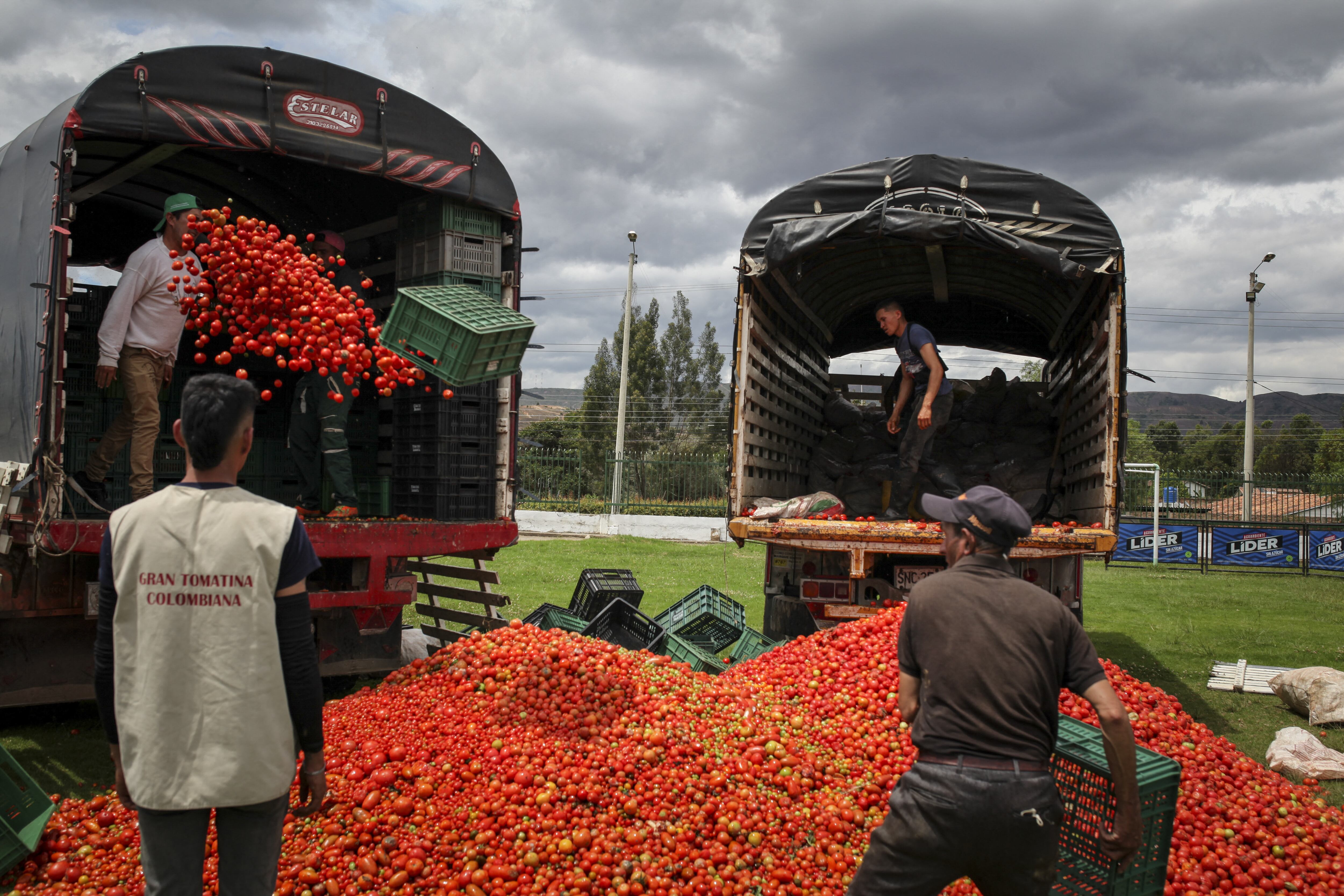 Tomatina en Sutamarchan