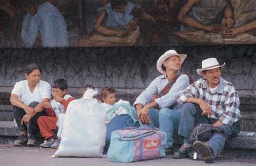 El consolidado más reciente de la Defensoría del Pueblo dice que en 2007 en Colombia se recibieron 11.013 quejas por violaciones a los derechos humanos. Los más violentados fueron los derechos a la salud, de petición, a la vida, los derechos de los desplazados y a la integridad personal. 