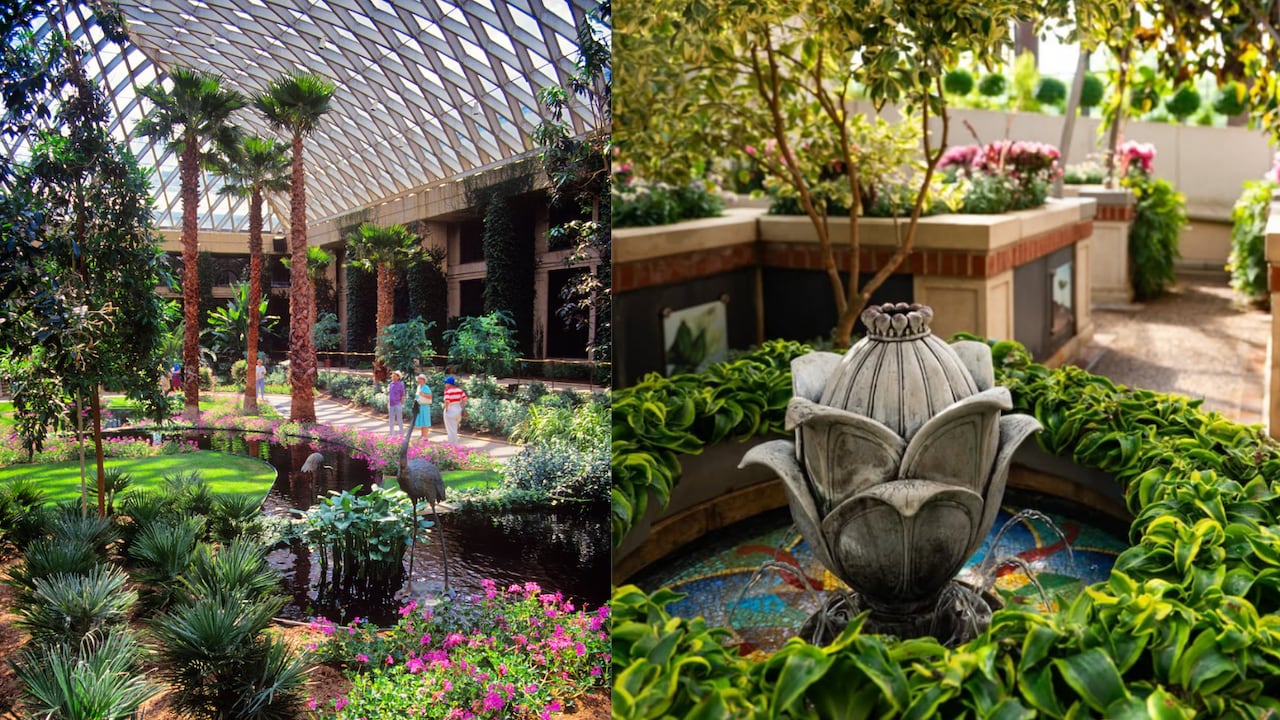 Longwood Gardens en Pensilvania no es un jardín cualquiera: es un espectáculo de naturaleza, arte y arquitectura que acaba de ser nombrado el más bello del mundo.