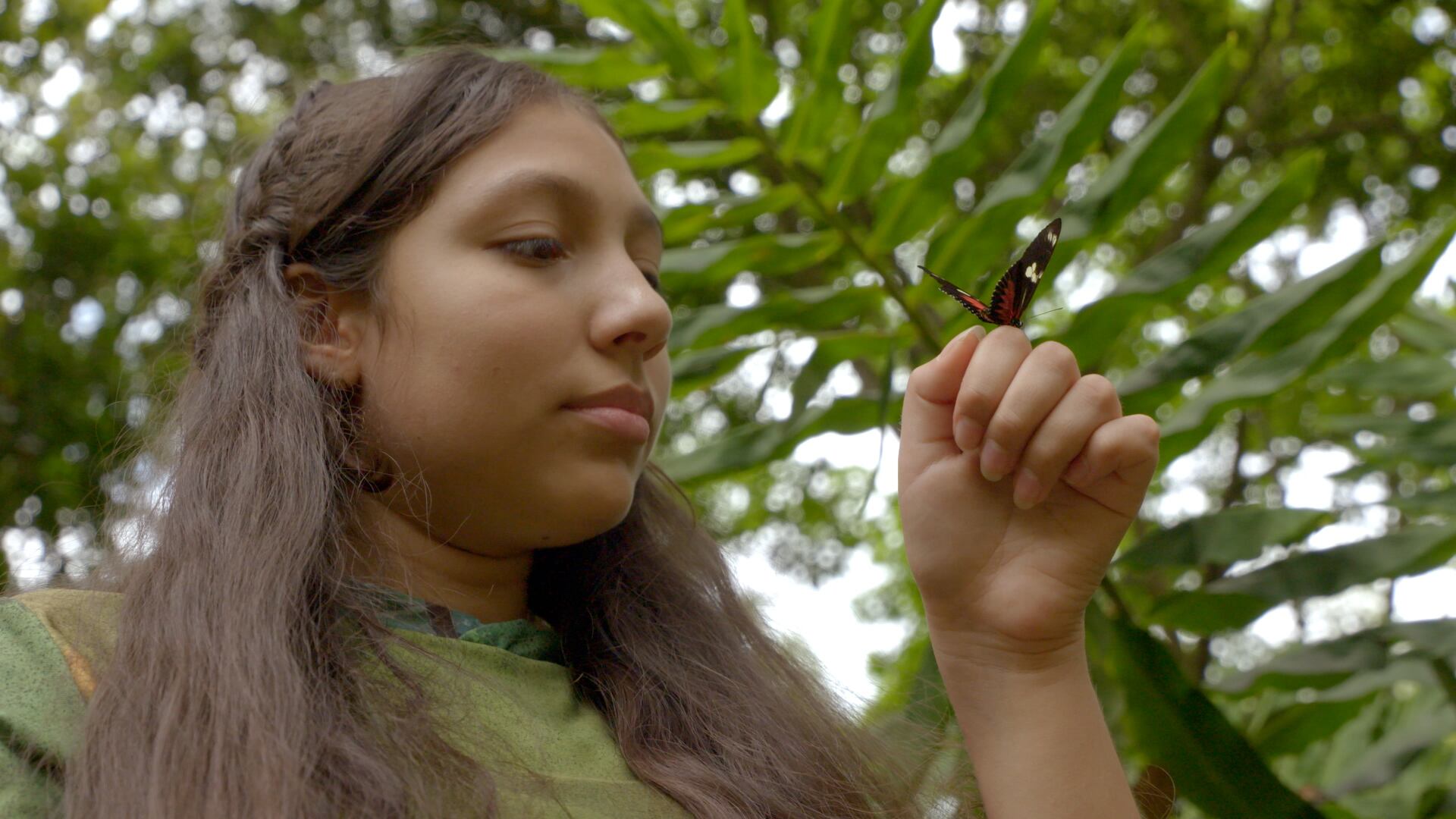 Lina Moreno Marín, estudiante investigadora, vive en Ibagué (Tolima) y siente especial gusto por las mariposas.