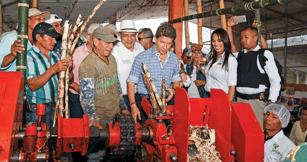 Productores indígenas de 32 municipios de Antioquia han diversificado sus cultivos.