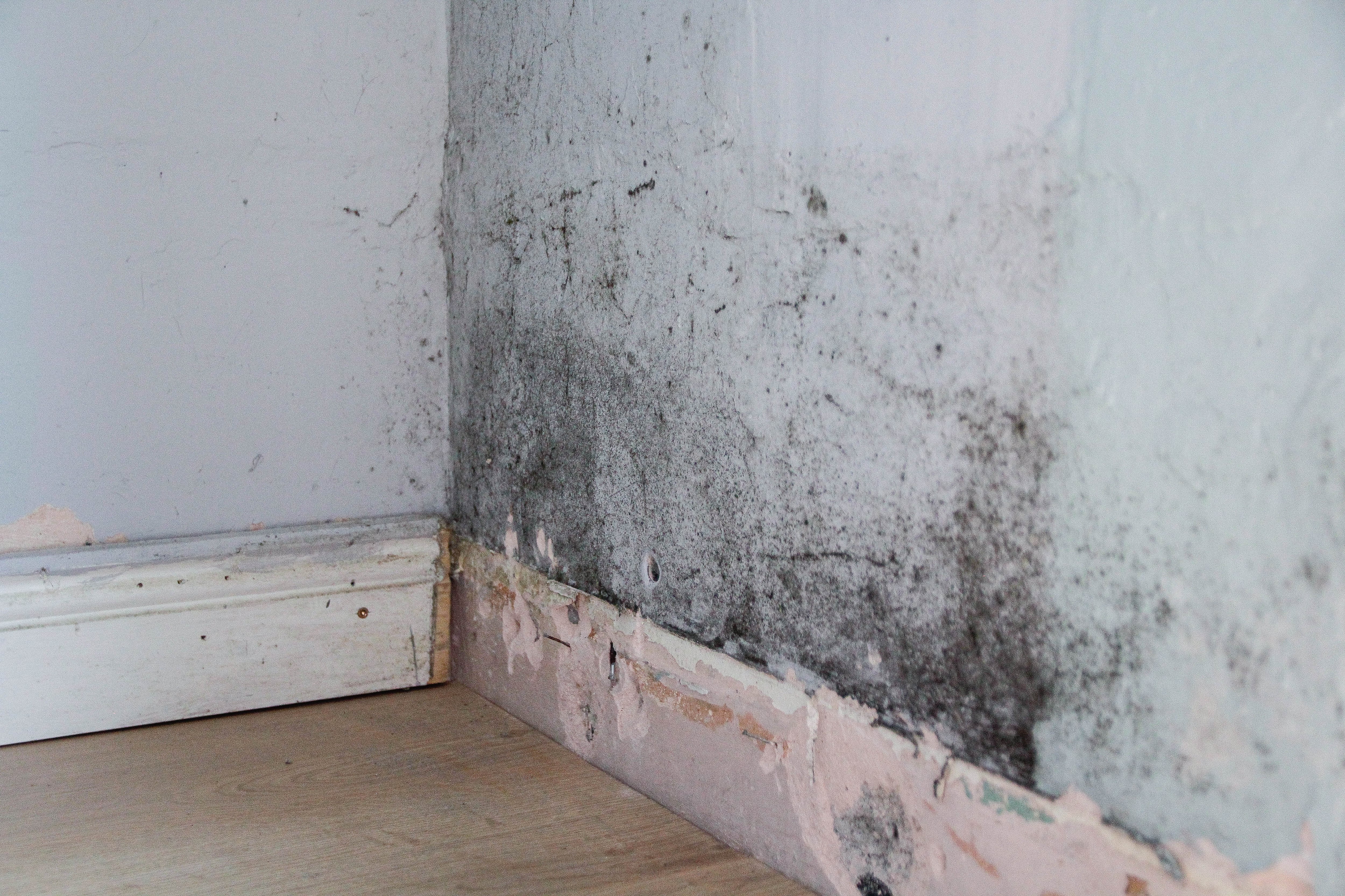 Pared con moho y humedad.