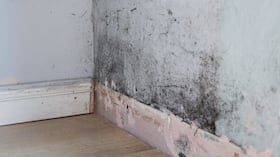 Pared con moho y humedad.