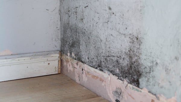 Pared con moho y humedad.