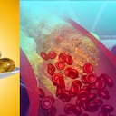 El omega 3 controla el colesterol.