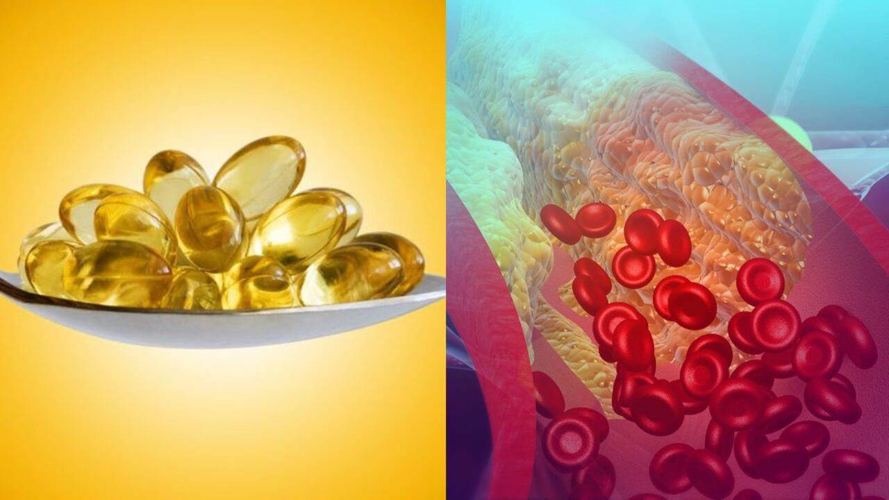 El omega-3 controla el colesterol.
