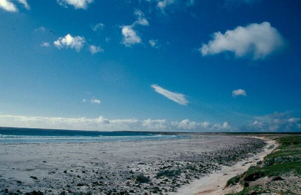 En las islas hay 3.000 habitantes, un millón de pingüinos, 14 especies de mamíferos marinos y 70 campos minados que quedaron de la guerra.