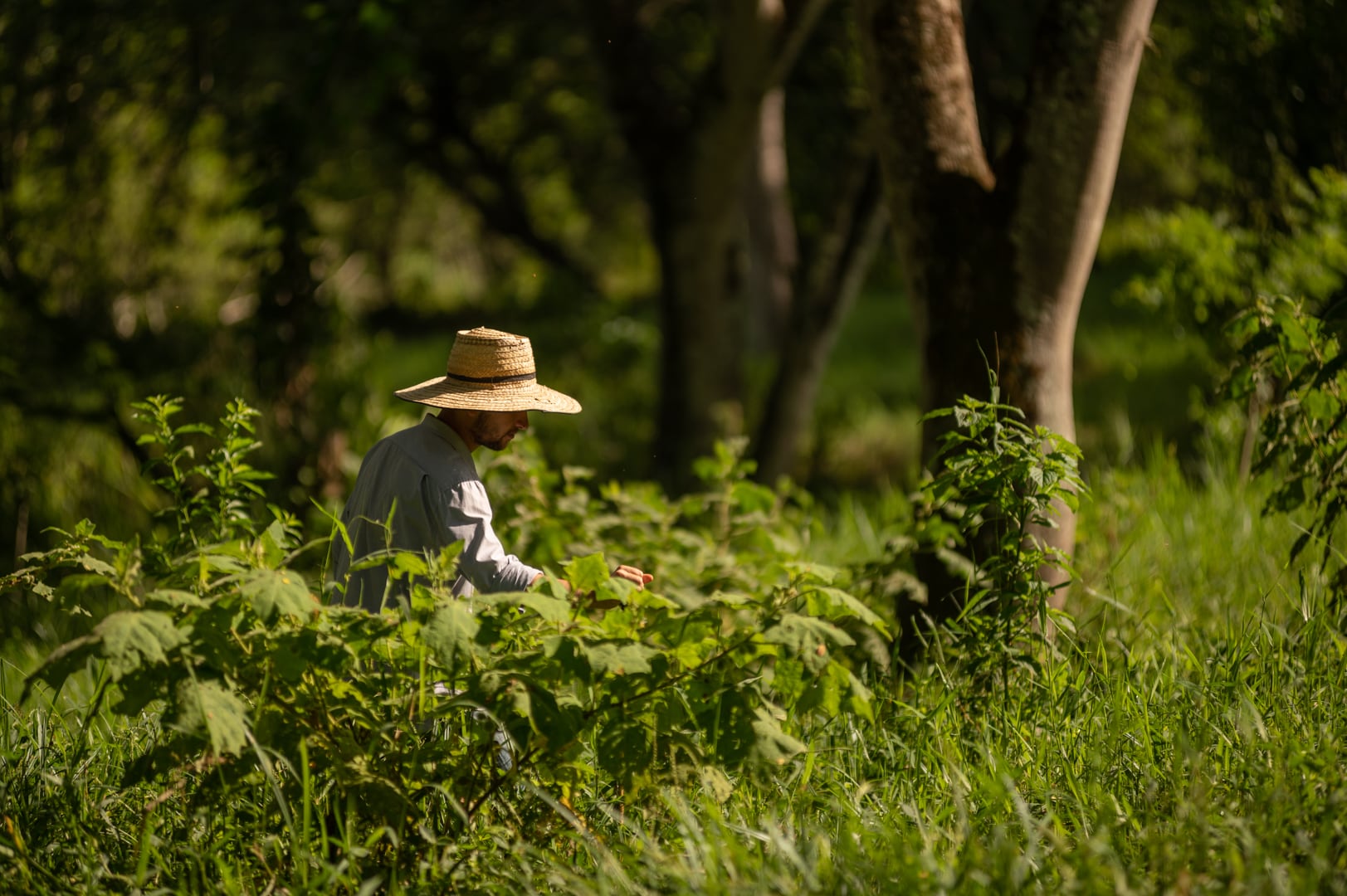 El impacto de Biosuroeste en Antioquia.