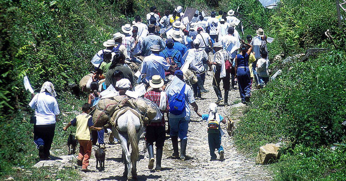 Un total de 405 víctimas de desplazamiento forzado hacia Medellín se registraron en enero de 2023. 