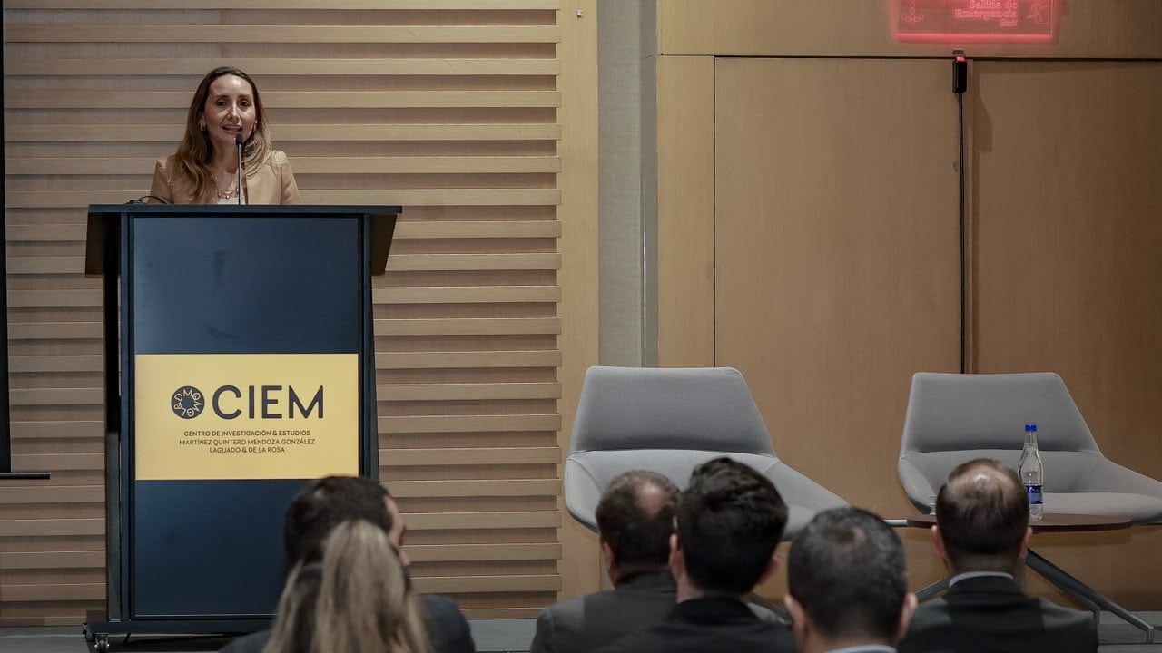 La iniciativa fue liderada por María Claudia Martínez, socia de Martínez Quintero Mendoza González Laguado & De La Rosa, especializada en Compliance, Derecho de la Competencia, Protección al Consumidor, Propiedad Intelectual y Protección de Datos. Además de coordinar la estructura conceptual y temática del libro, Martínez es autora de varios capítulos y de su prólogo.