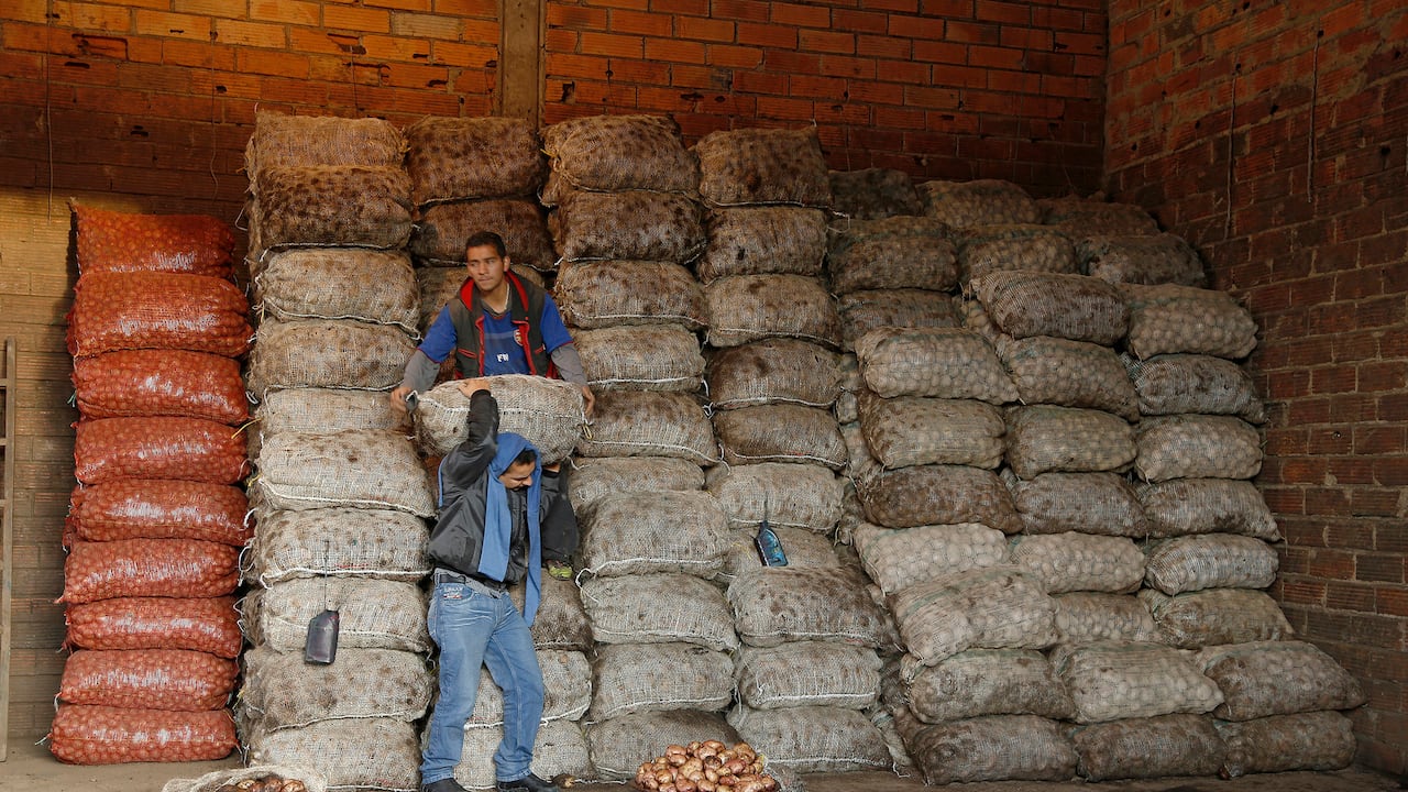 Precios de la papa en Corabastos hoy, 5 de marzo. (Imagen de referencia)