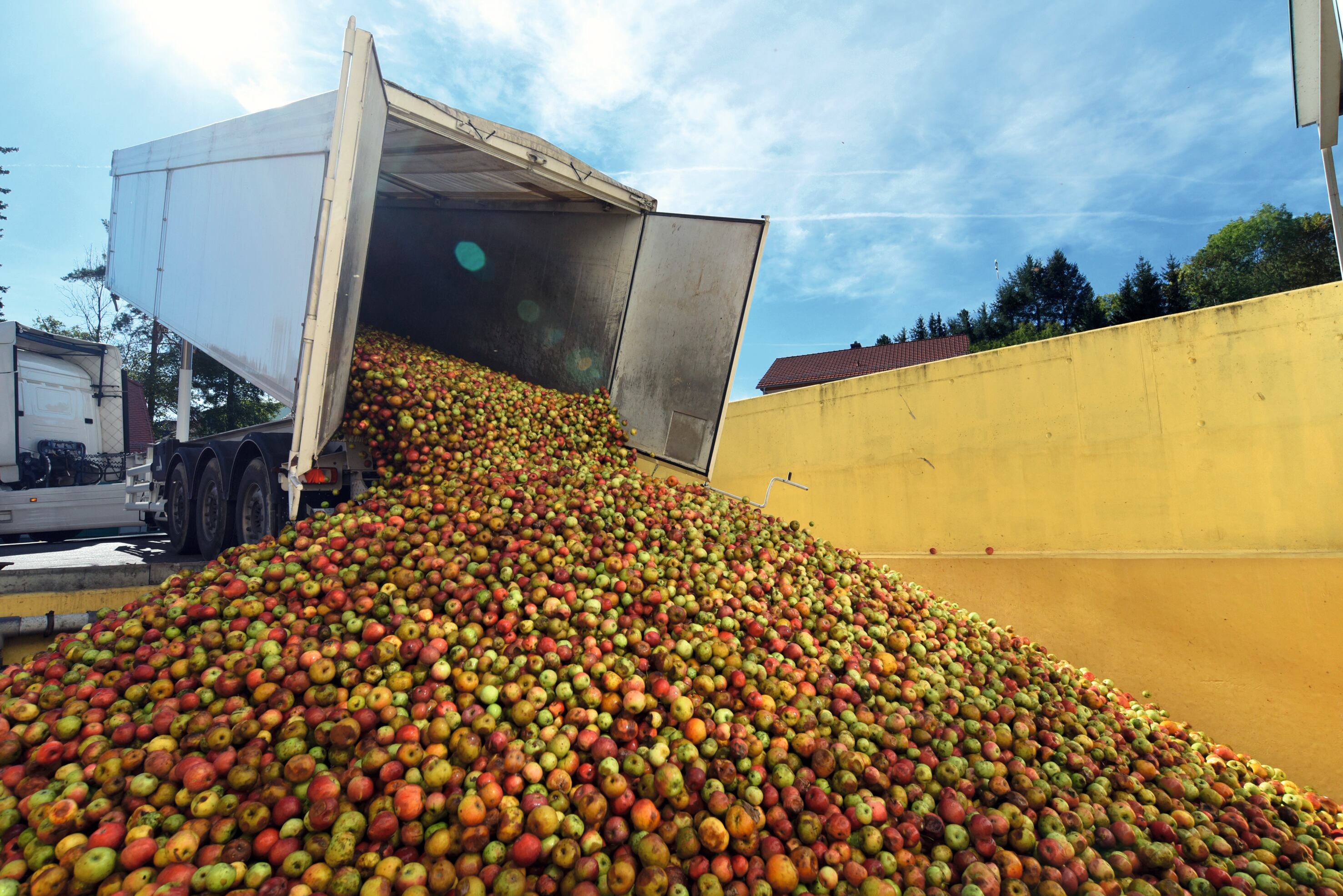 9,76 millones de toneladas de alimentos se desperdician anualmente en Colombia.