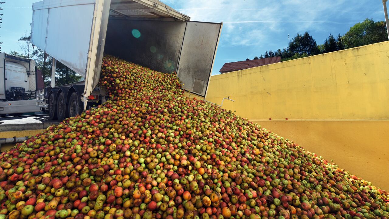 9,76 millones de toneladas de alimentos se desperdician anualmente en Colombia.
