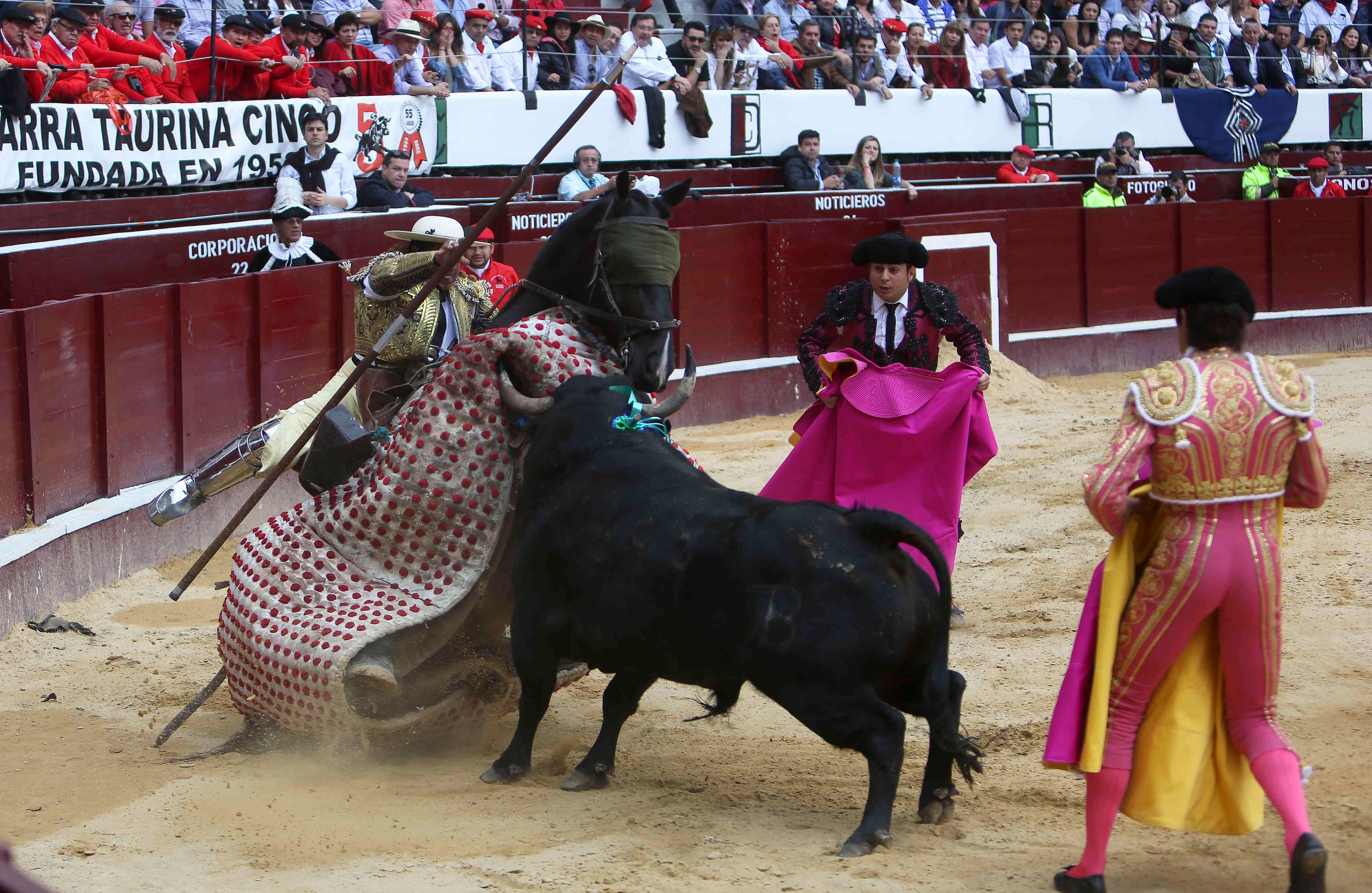 Picador a la arena. Toro de Juan Bernardo Caicedo  (Esteban Vega/SEMANA)