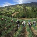 Abriendo Mercados para la Agricultura Familiar