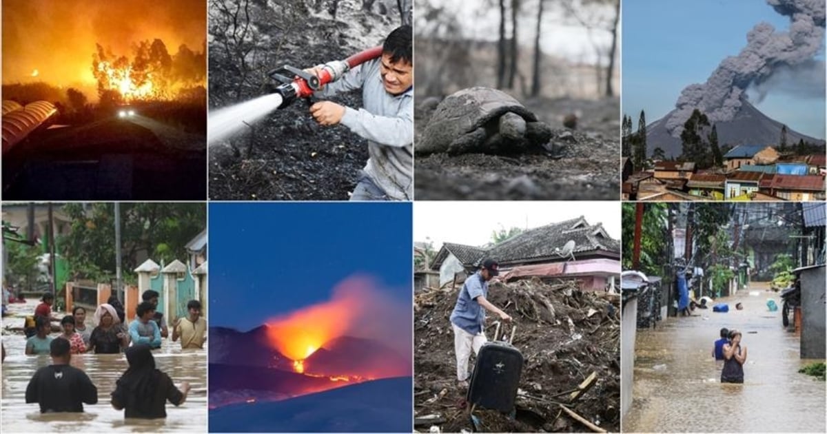 Desastres naturales ocurridos en el mundo en 2020.