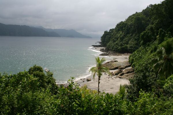 Hay alerta en Chocó porque la comunidad se tomó el Parque Nacional Utría y decidió lotear para construir viviendas (Imagen de referencia)
