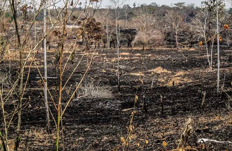 Foto: Joaquín Sarmiento / AFP