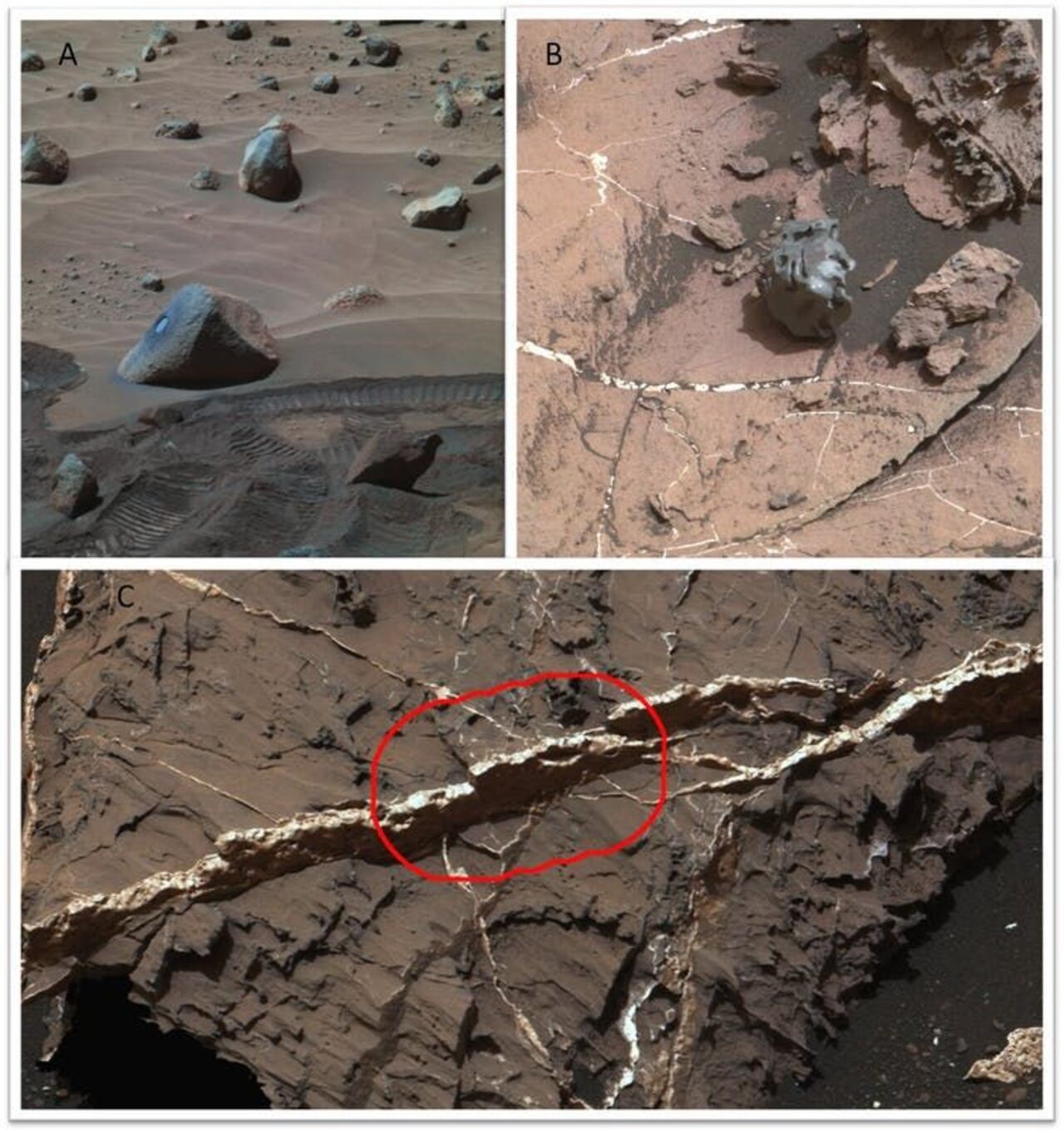 Rocas de fosfato (A), meteoritos de hierro (B) y vetas con sulfatos (C) encontrados en Marte por el rover Curiosity. Todos juntos son ingredientes para el origen de la vida. NASA/JPL-Caltech/LANL/CNES/IRAP/LPGNantes/CNRS/IAS/MSSS