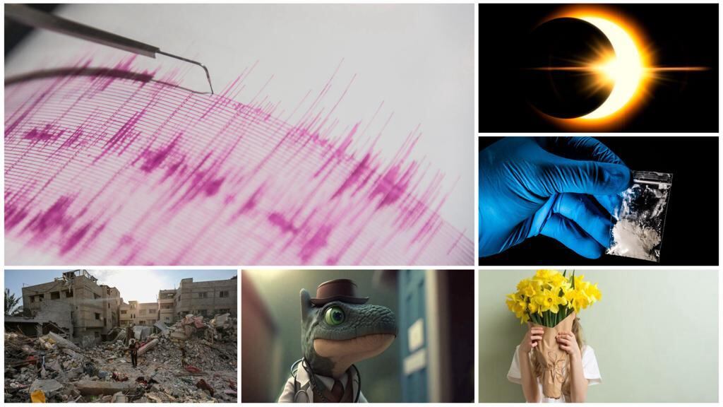 Preguntas Colombia Google 2023.