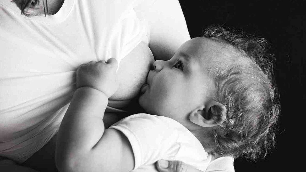 El vínculo de supervivencia de un bebé está en el pecho de la madre. Su alimento ideal es la leche materna.