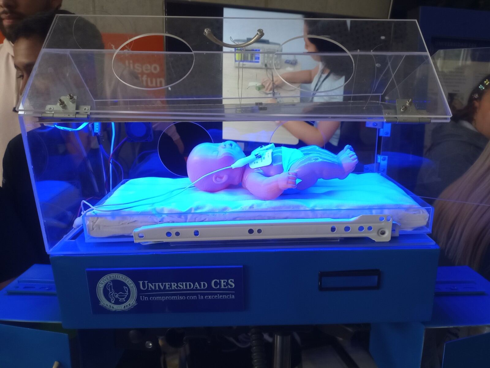 Prototipo de Ecoincubadora.