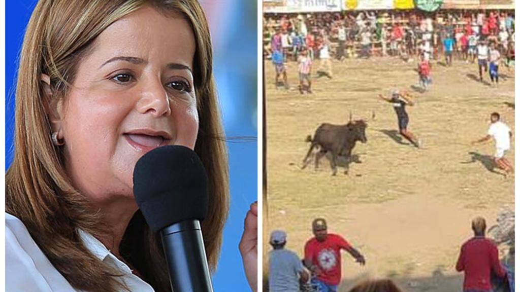 Elsa Noguera celebró aprobación en el Senado del proyecto que regula las corralejas.