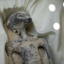 Uno de los dos seres 'no humanos' mostrados a los medios se ve durante una conferencia de prensa del periodista mexicano y experto en ovnis, Jaime Maussan, en el hotel Camino Real, en la Ciudad de México, México, el 13 de septiembre de 2023. (Foto de Daniel Cárdenas/Agencia Anadolu vía Getty Images)