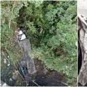 El conductor salió ileso del siniestro.