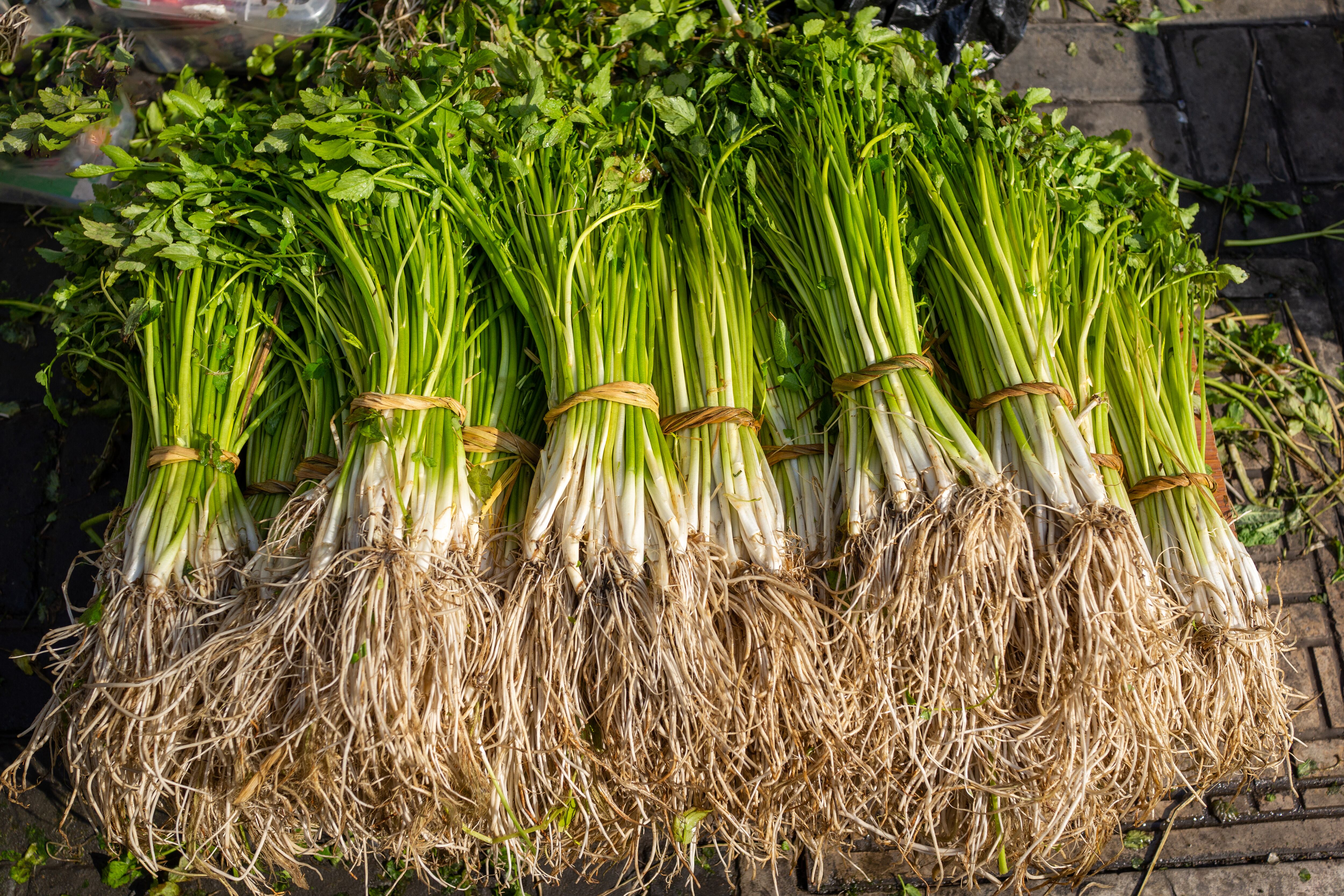 El berro es uno de los vegetales más consumidos en el mundo.