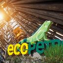 El impairment, una valoración en los activos, le permitió a la empresa mejorar sus indicadores.