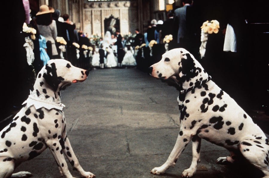 Los 101 dálmatas: Cruella de Vil y los 101 cachorritos perdidos en Nueva York es de esas historias que han quedado marcadas en nuestra memoria.