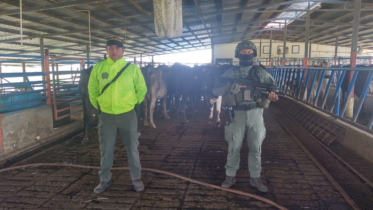 Esta es la millonaria fortuna por más de $20 mil millones que tenía escondía un grupo de narcos extraditados a los Estados Unidos.