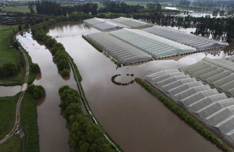Los cultivos de la zona están cubiertos hasta el techo. Autoridades analizan el costo de las pérdidas. 