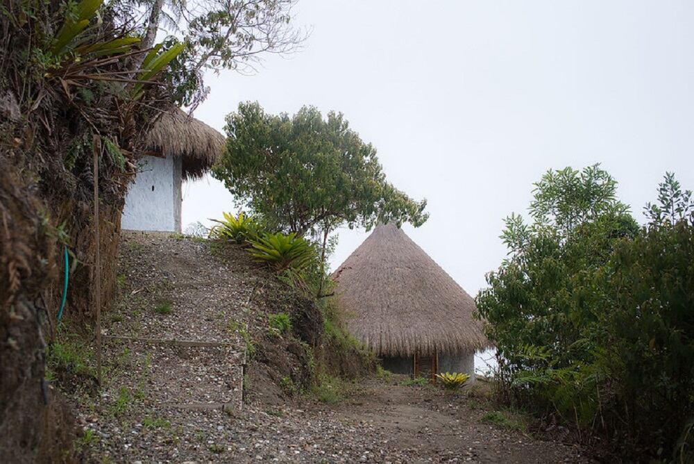 Reserva proAves El Dorado