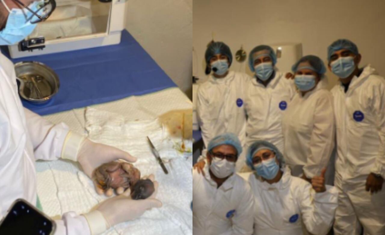 El nacimiento representa un hecho dentro de las acciones de conservación que actualmente se adelantan bajo control técnico.